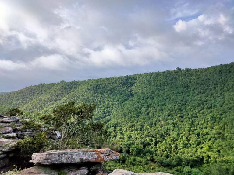 Michnar hills