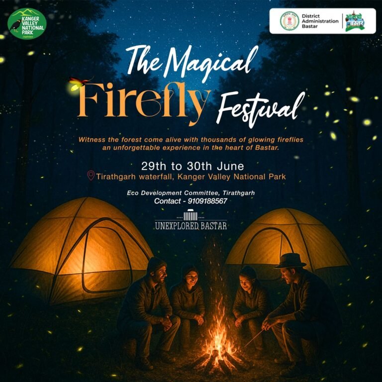 Firefly Festival 2025